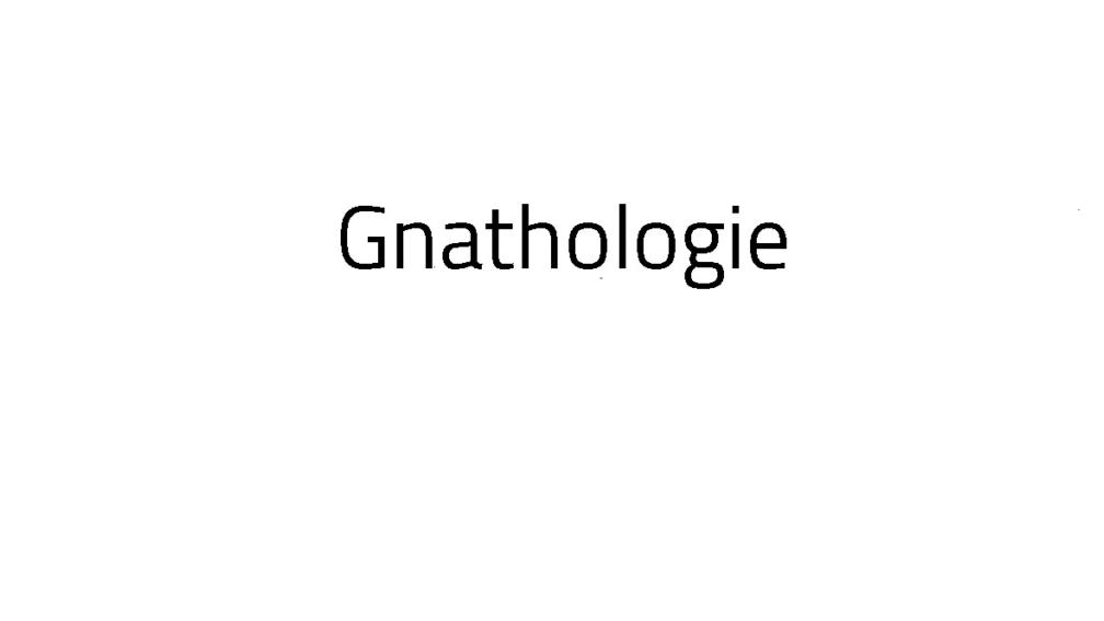 Gnathologie 