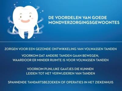 Oral b