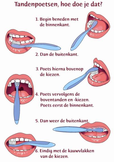 Tandenpoets Handleiding 1